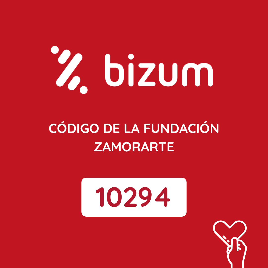 Cartel con el código Bizum de la Fundación ZamorArte: 10294